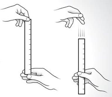 ruler drop test protocol|ruler drop test diagram.